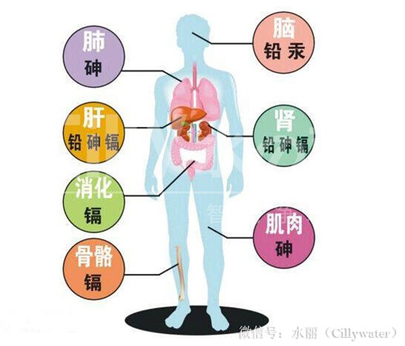 水污染對(duì)兒童的傷害